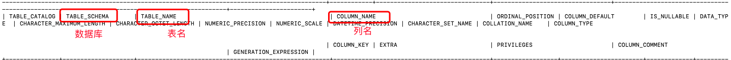columns表的结构